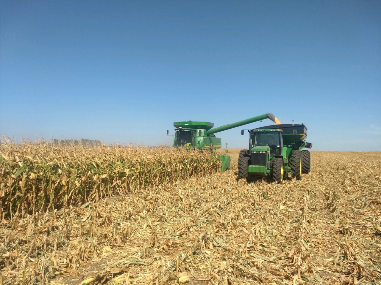 Corn » Jantz Farms LLC
