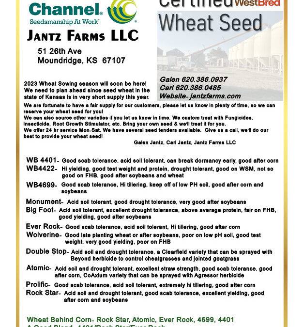 Seed Wheat Newsletter 2023