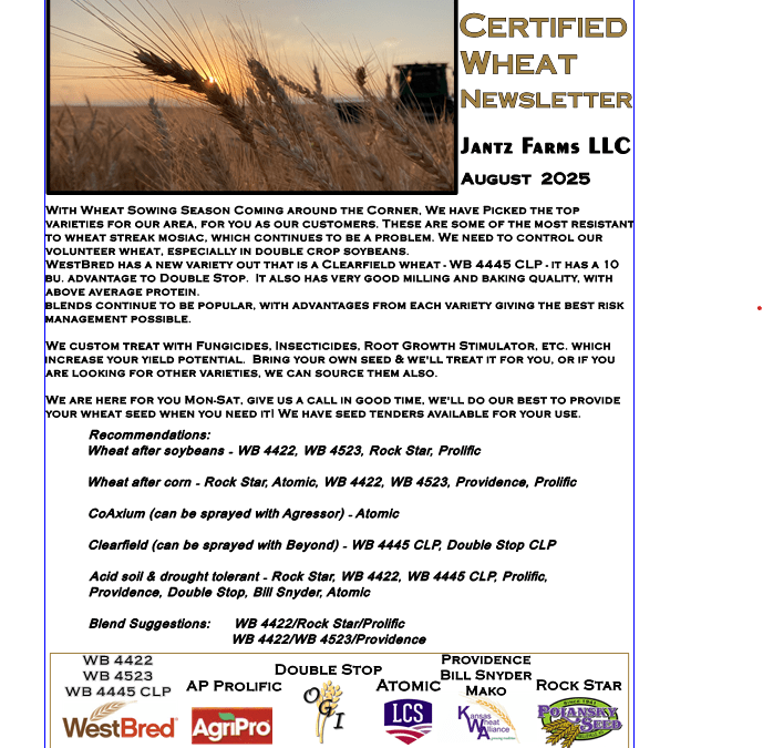 Seed Wheat Newsletter 2025
