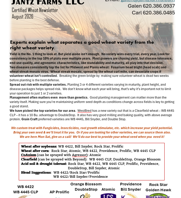 Seed Wheat Newsletter August 2026